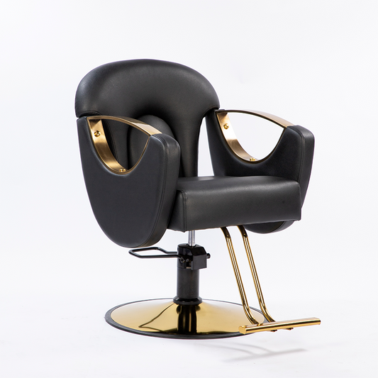 Wongs’Salon Styling Chair——YP-219